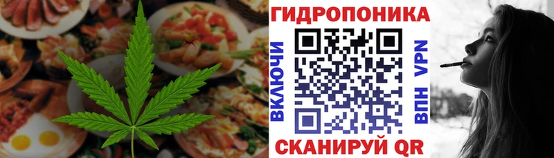 блэк спрут ссылки  Кохма  Canna-Cookies марихуана 