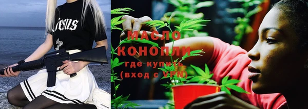 дживик Дубна