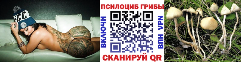 Псилоцибиновые грибы GOLDEN TEACHER  blacksprut вход  Кохма 