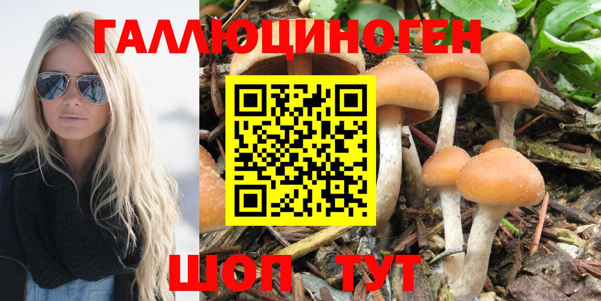  COCAIN Кохма