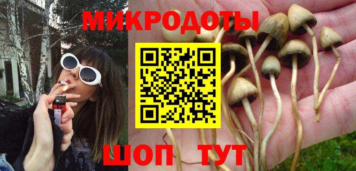 Кохма  Псилоцибиновые грибы MAGIC MUSHROOMS  Вход с VPN  закладка  Псилоцибиновые грибы мицелий 