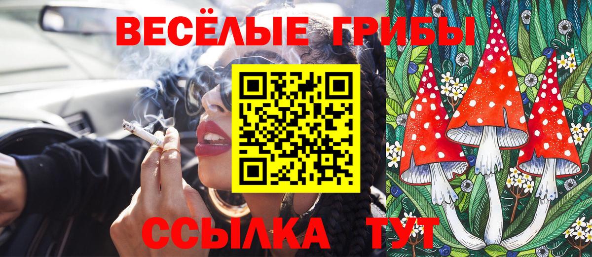 Псилоцибиновые грибы Psilocybe Кохма